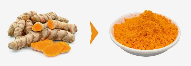 Curcumin Extract Powder 1