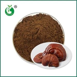 Učinci i kontraindikacije za uzimanje Ganoderma Spore Powder