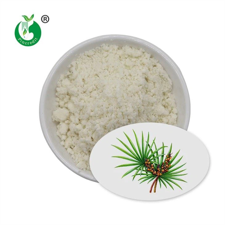 Saw Palmetto Extract Powder