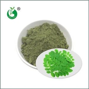 Organski Moringa prašak