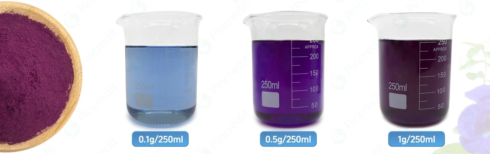 Butterfly Pea Flower Extract 2