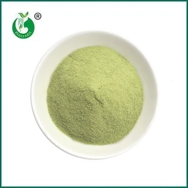 NOVO DOLAZAK: Matcha Latte u prahu