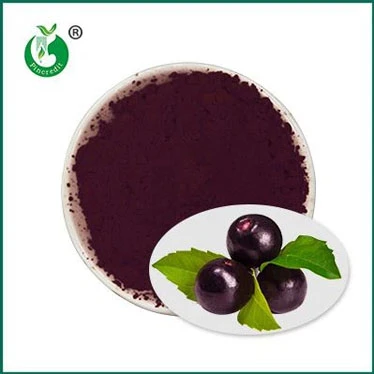 Je li čisti acai dobar za vas?