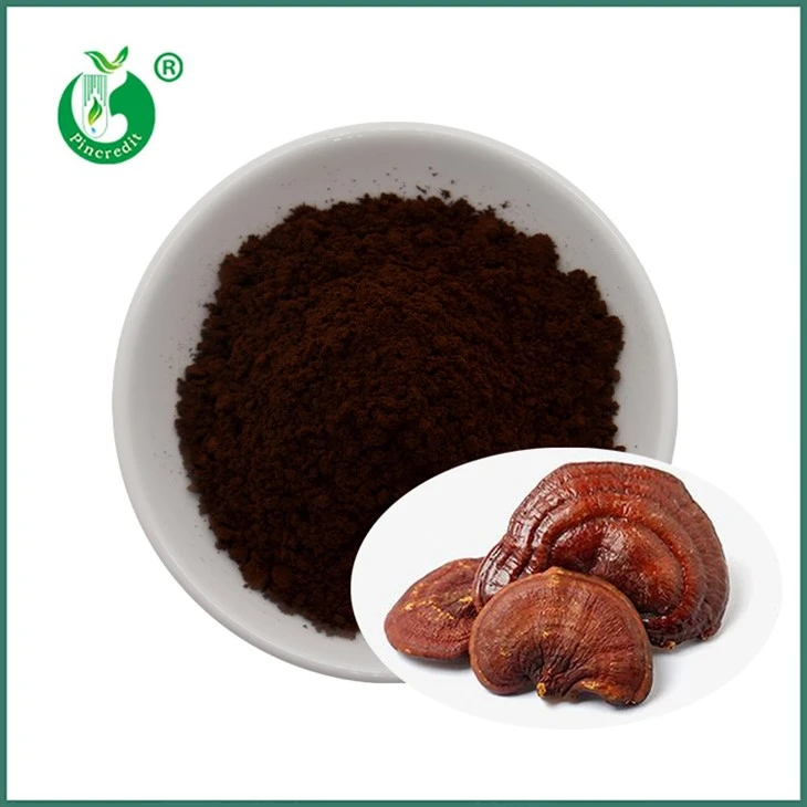Reishi spore u prahu