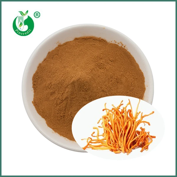 Ekstrakt organske gljive Cordyceps Militaris