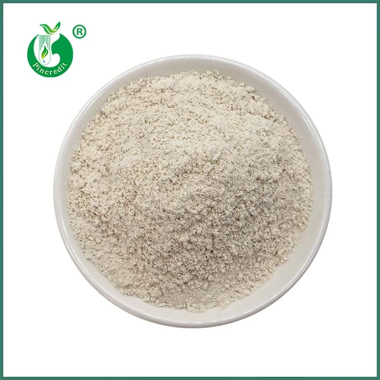 Trans Resveratrol prah