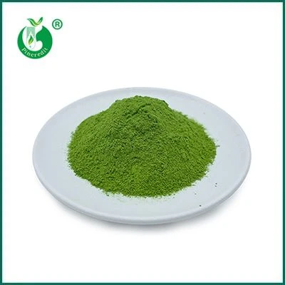 Matcha zeleni čaj u prahu